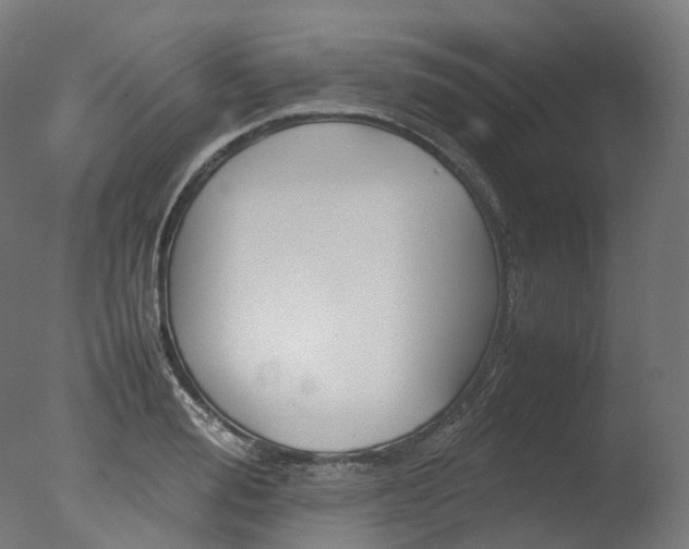 X0000077330988200610200910