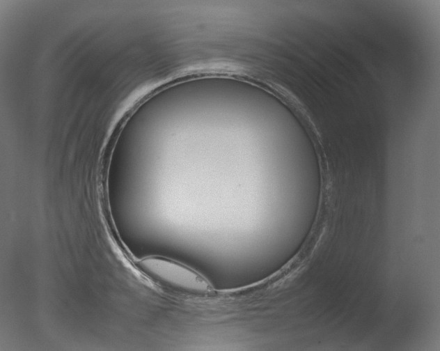 X0000077330989200610200910