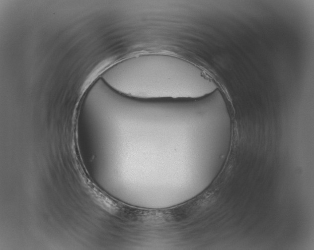 X0000077331002200610200910