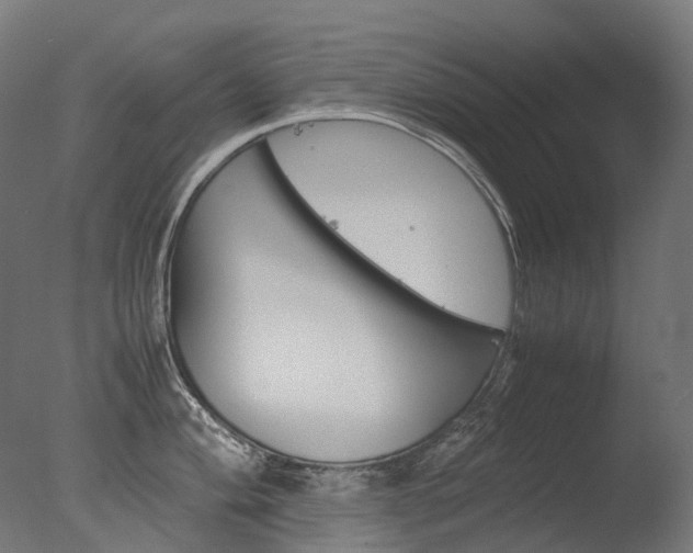 X0000077331004200610200910