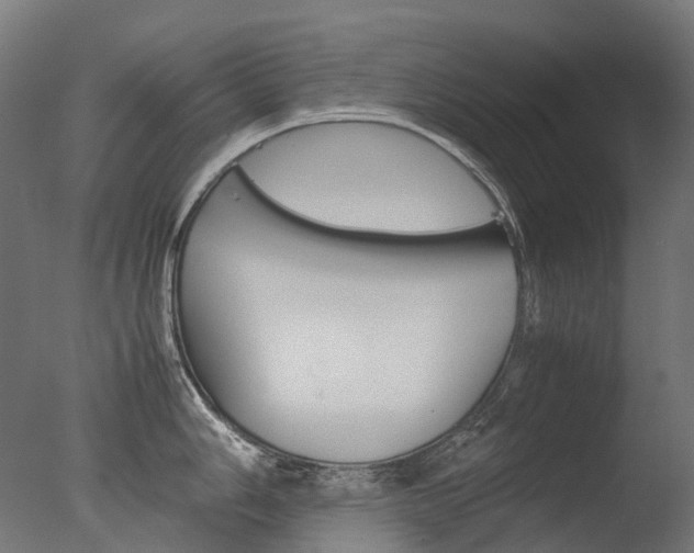 X0000077331006200610200910
