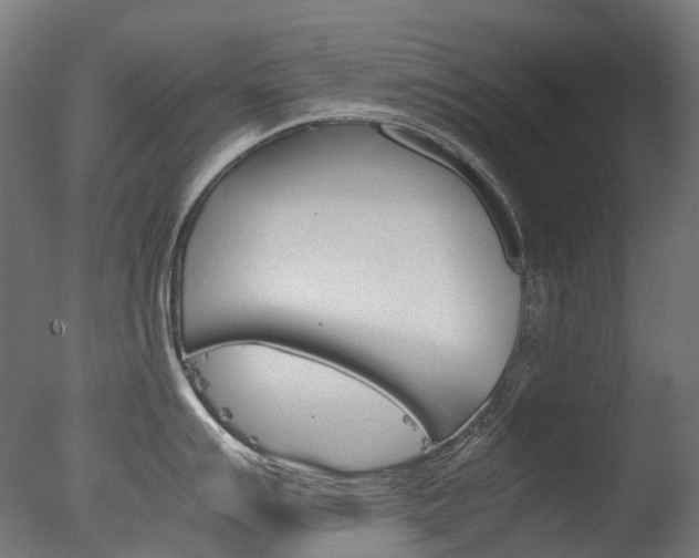 X0000077331007200610200910