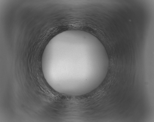 X0000077331009200610200909