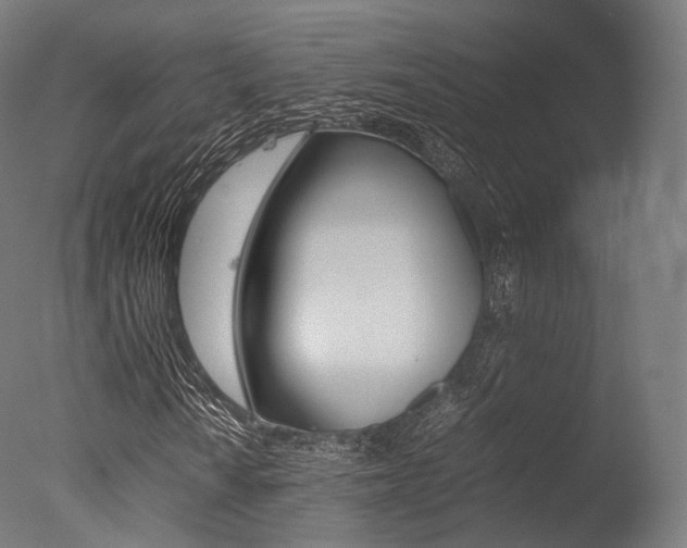 X0000077331010200610200909