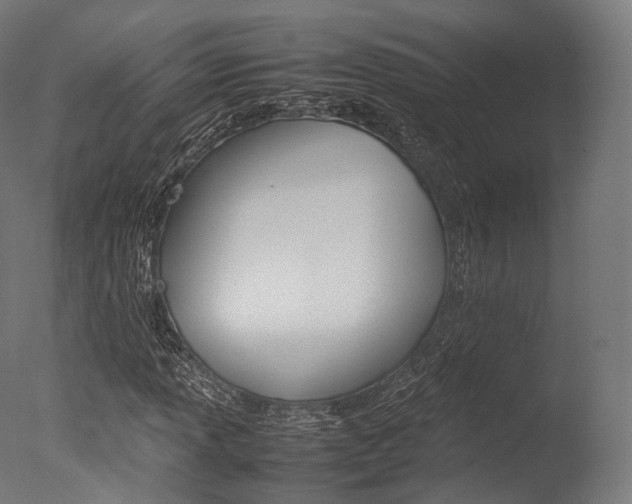 X0000077331013200610200909