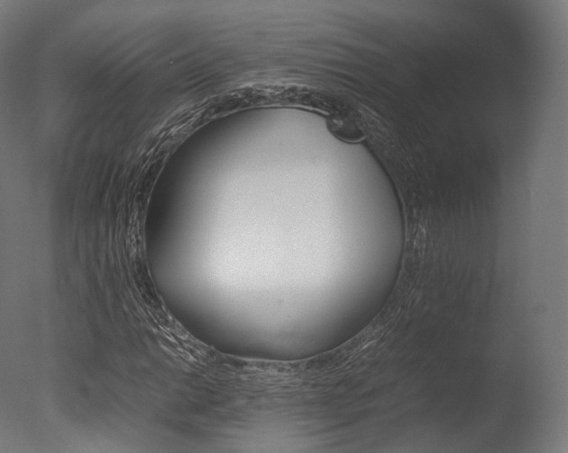 X0000077331014200610200909
