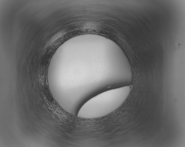 X0000077331015200610200909