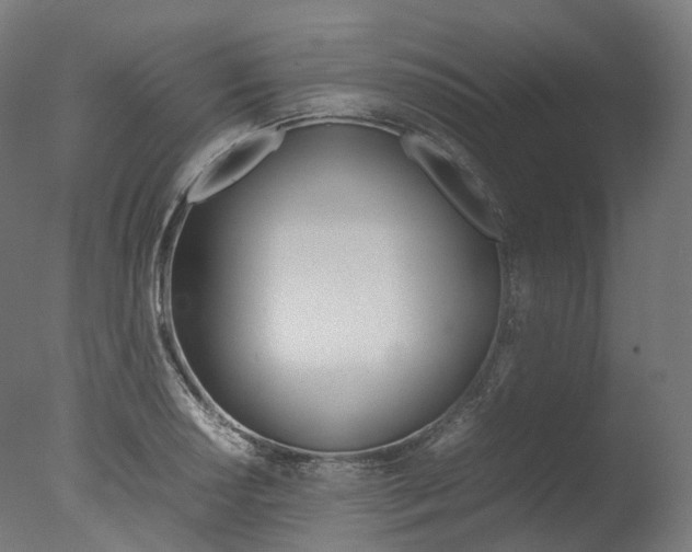 X0000077331034200610200909