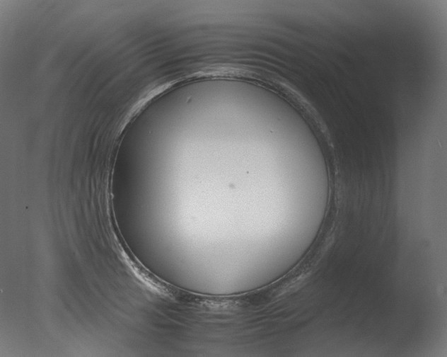 X0000077331041200610200909