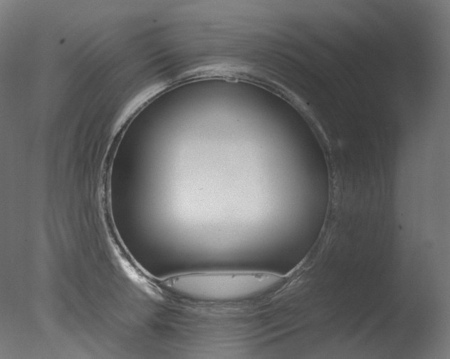 X0000077331042200610200909