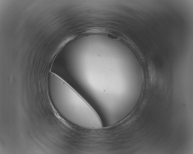 X0000077331049200610200910