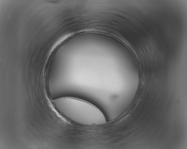 X0000077331053200610200910