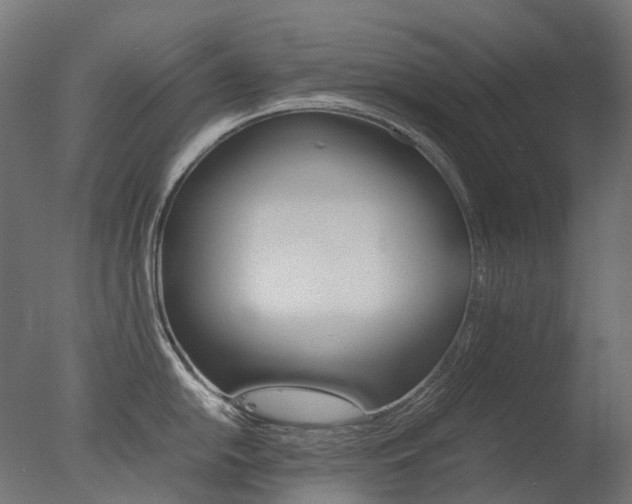 X0000077331054200610200910