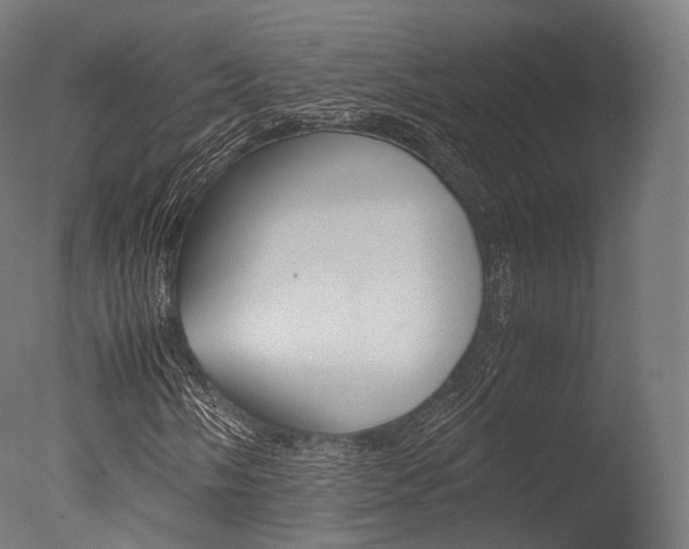 X0000077331058200610200909