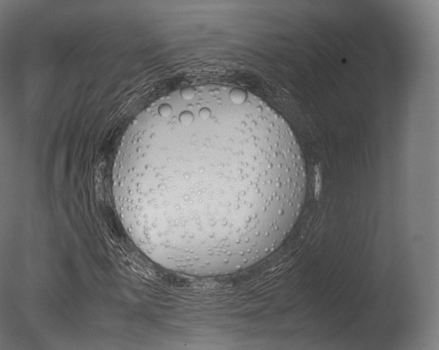 X0000077331059200610200909