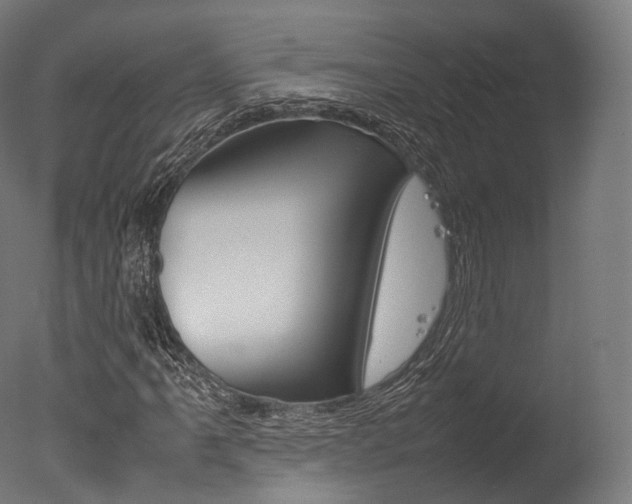 X0000077331061200610200909
