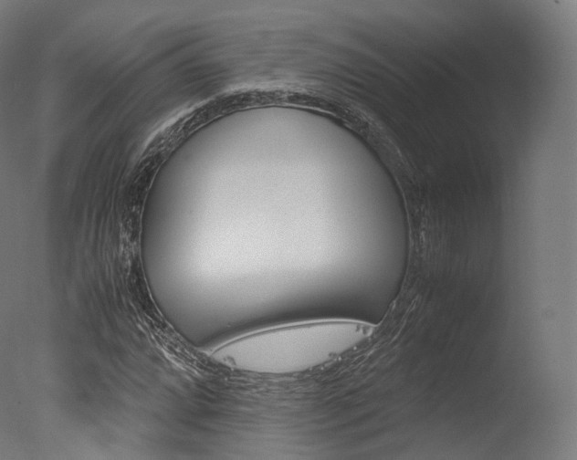 X0000077331064200610200909
