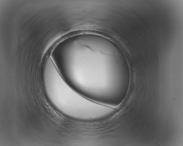 X0000077331069200610200909