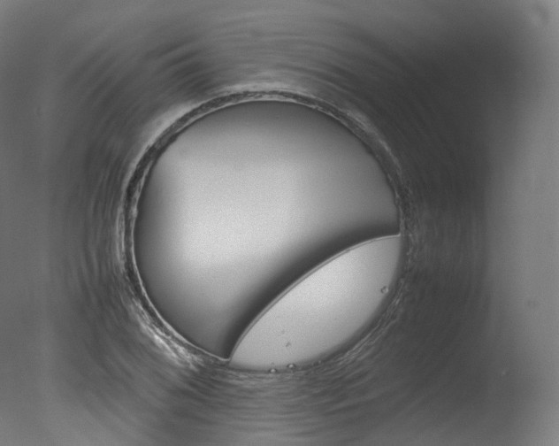 X0000077331076200610200909