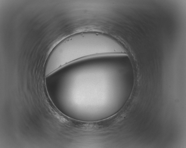 X0000077331081200610200909