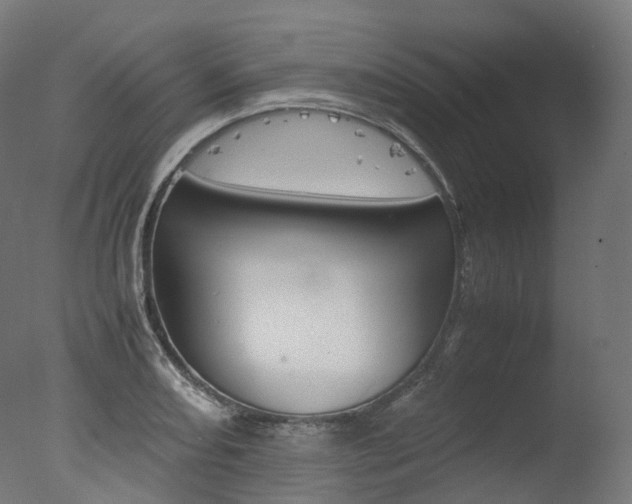 X0000077331082200610200909