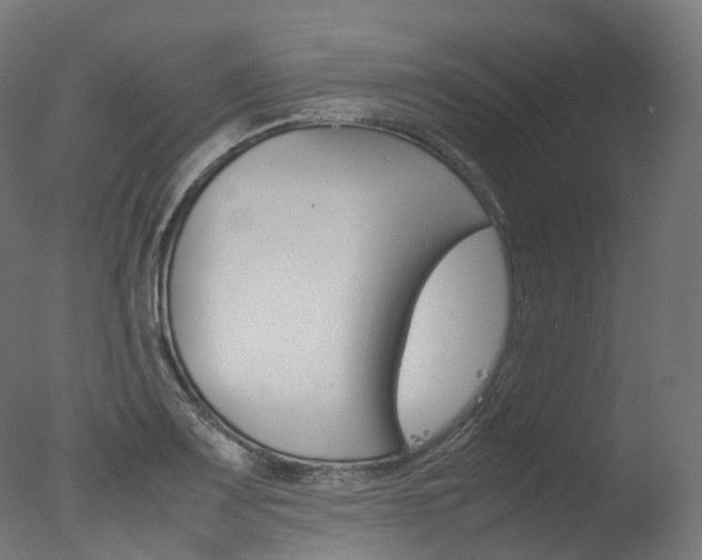 X0000077331083200610200908