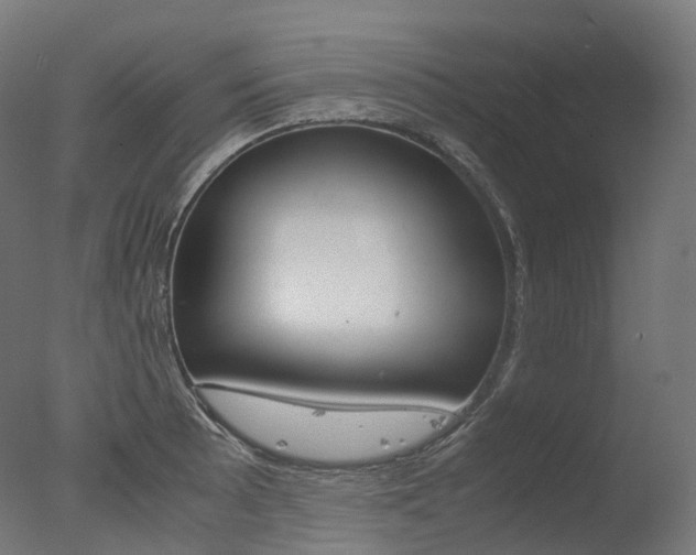 X0000077331089200610200908