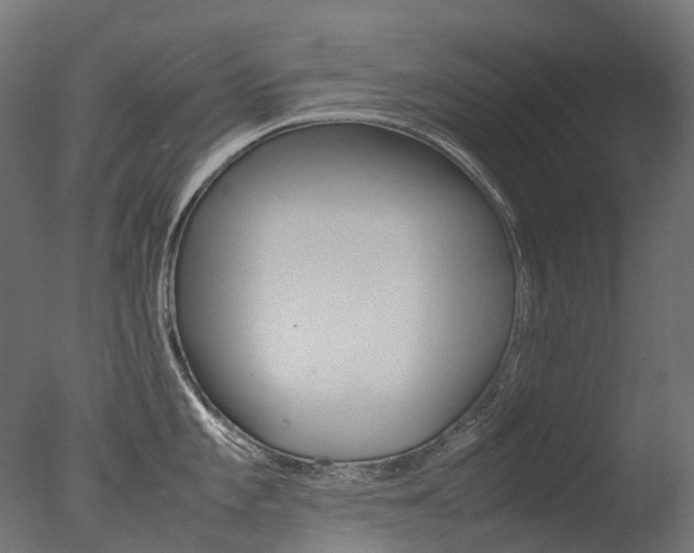 X0000077331101200610200908