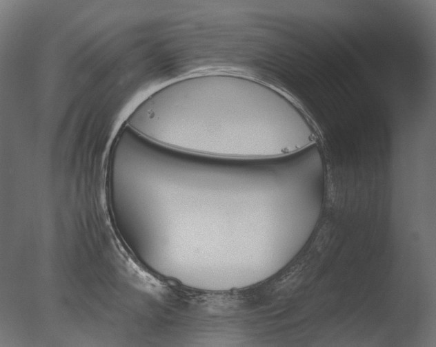 X0000077331102200610200908