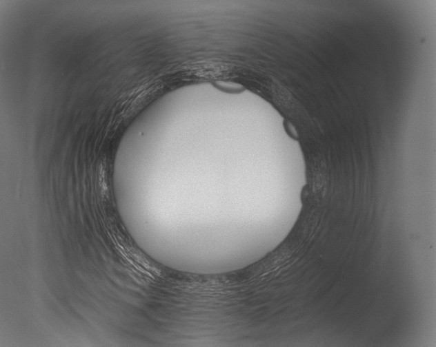 X0000077331106200610200907