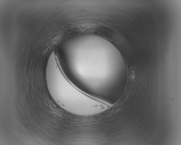 X0000077331108200610200907