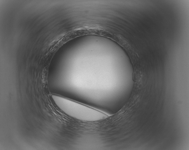 X0000077331110200610200907