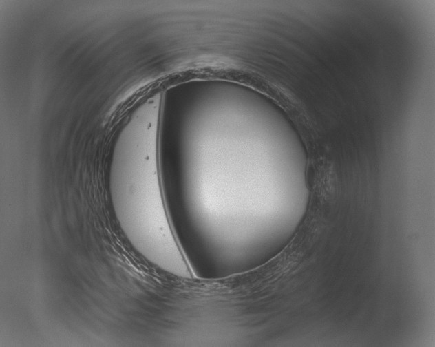 X0000077331112200610200907