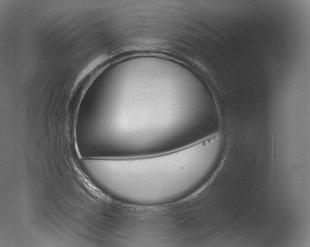 X0000077331114200610200907