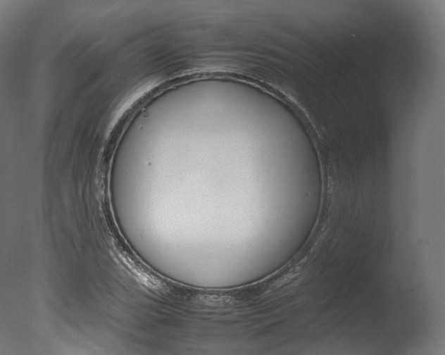 X0000077331119200610200908