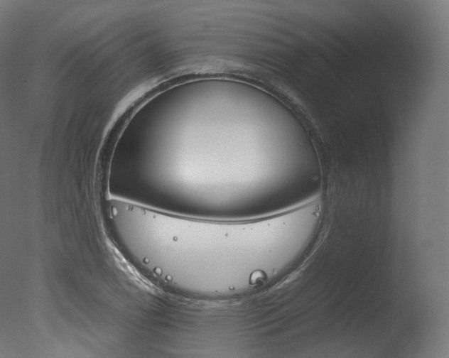 X0000077331122200610200908