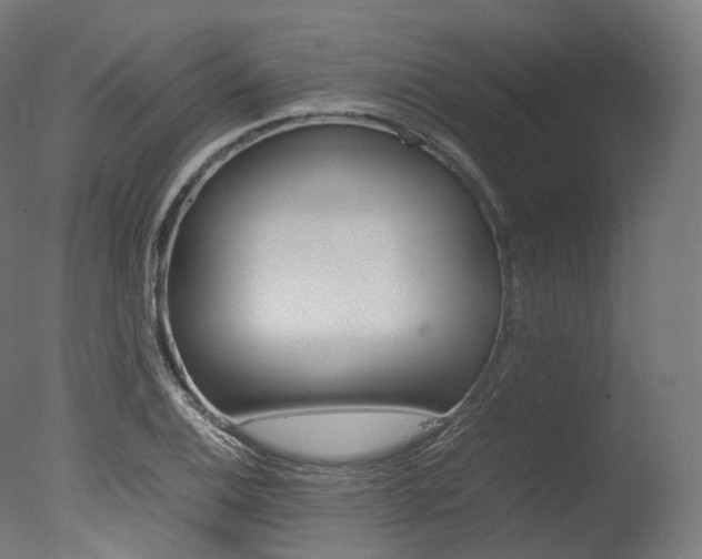 X0000077331124200610200908