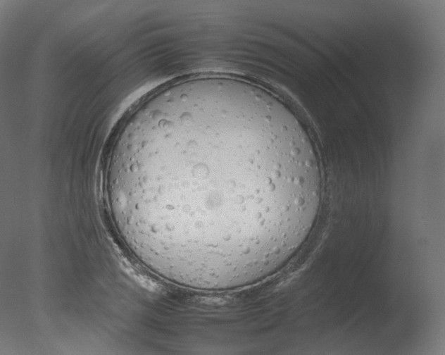 X0000077331125200610200908