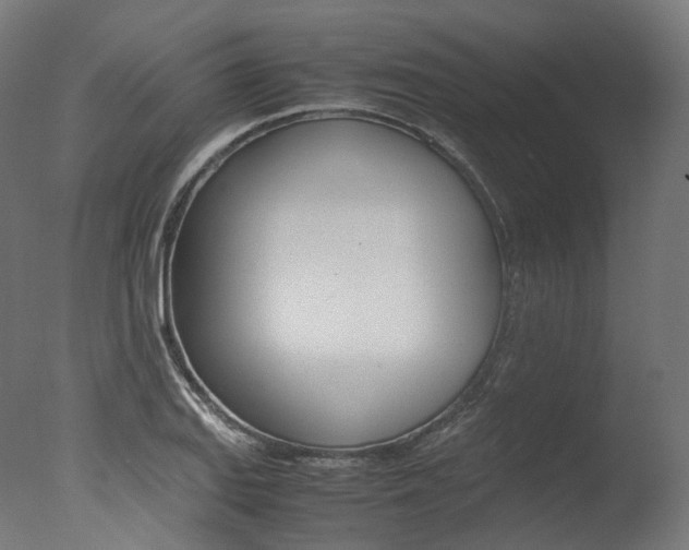 X0000077331127200610200908