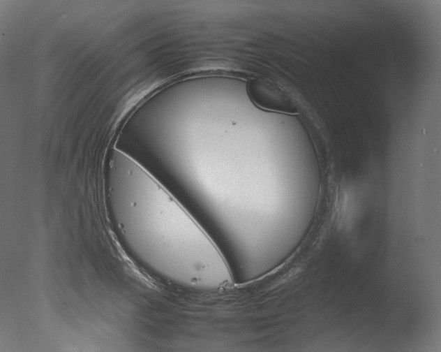 X0000077331129200610200908