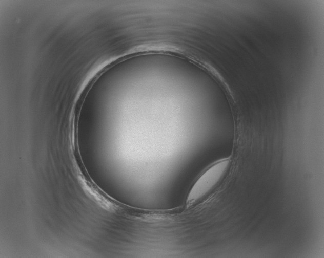X0000077331132200610200908