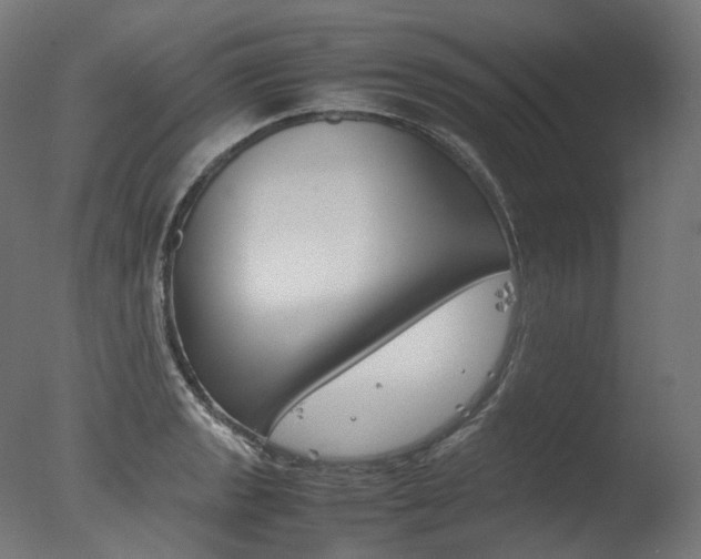 X0000077331133200610200908