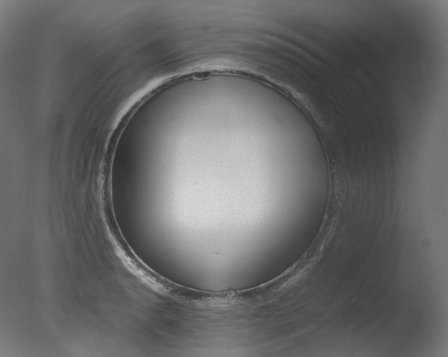 X0000077331134200610200908