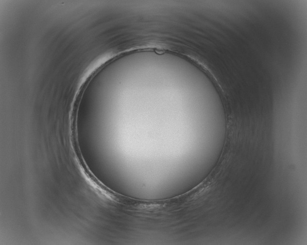 X0000077331135200610200908