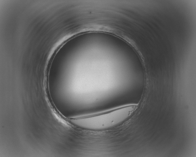 X0000077331136200610200908