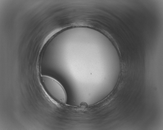 X0000077331141200610200908