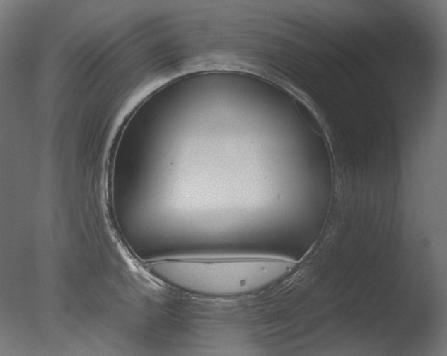 X0000077331144200610200908