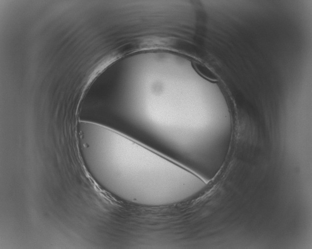 X0000077331145200610200908