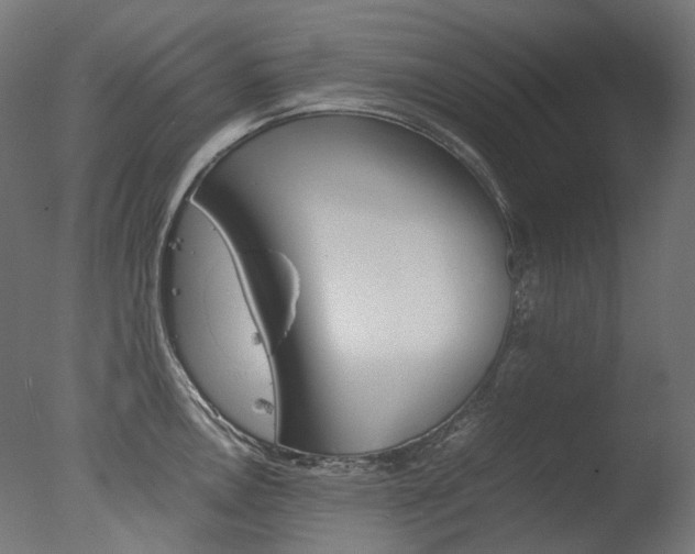 X0000077331146200610200908