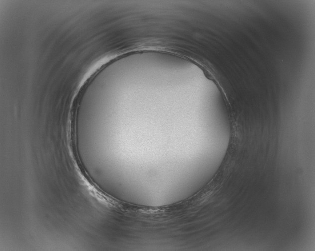 X0000077331147200610200908